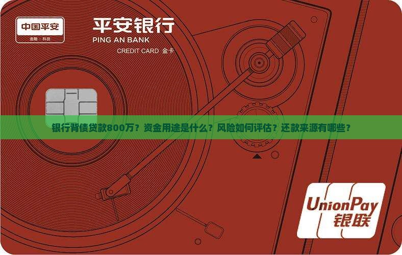 银行背债贷款800万