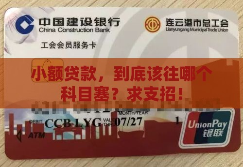小额贷款放哪个科目好