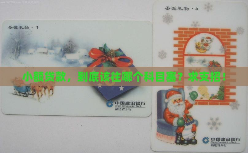 小额贷款放哪个科目好