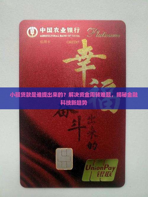 小额贷款是谁提出来的