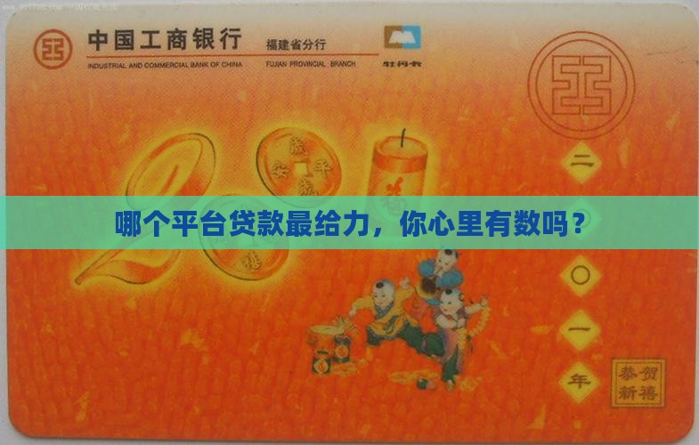 在哪个平台贷款多