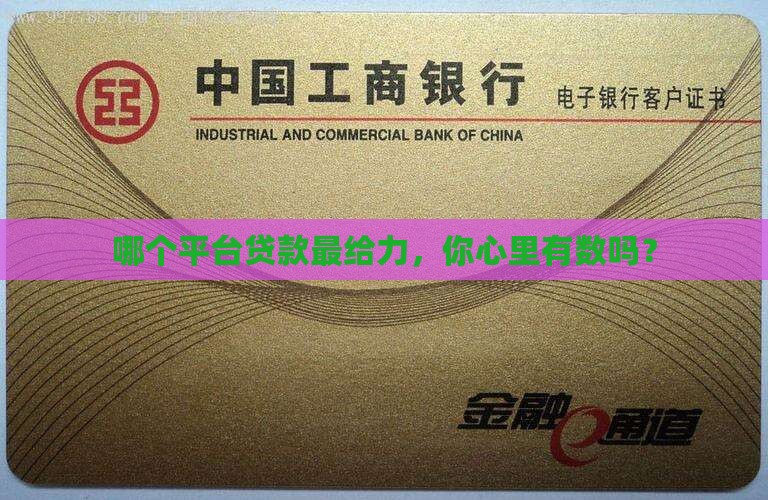 在哪个平台贷款多