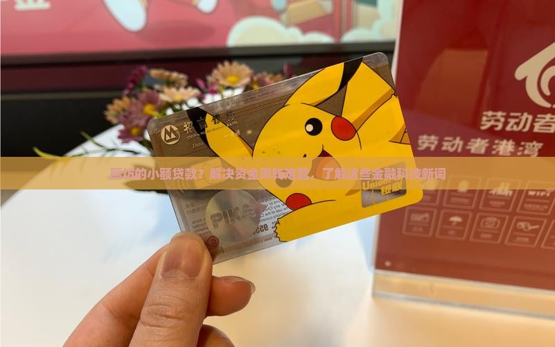 廊坊的小额贷款