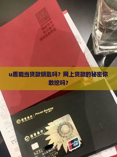 u盾可以网上贷款吗