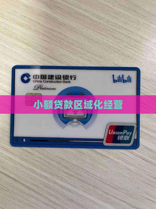 小额贷款不出区