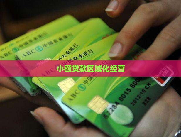 小额贷款不出区