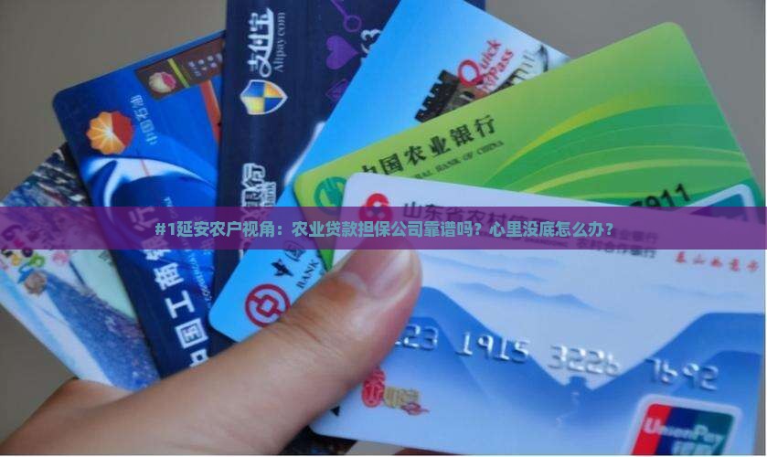 延安农业贷款担保公司