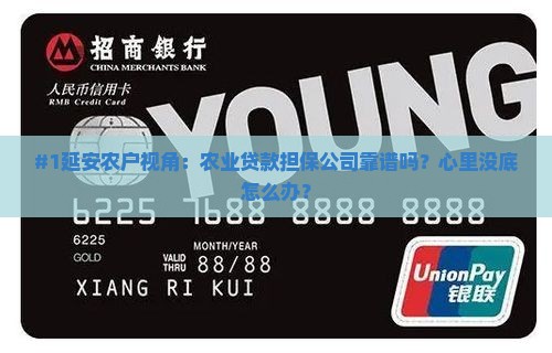 延安农业贷款担保公司