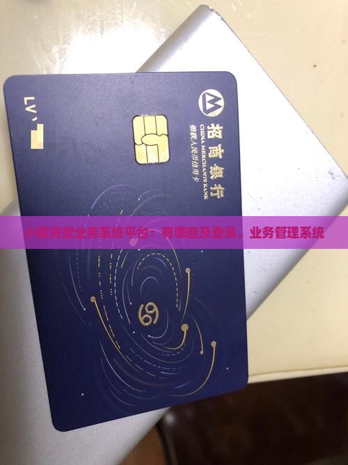 小额贷款业务系统平台