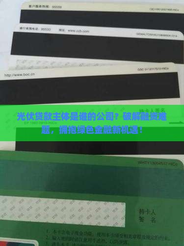 光伏贷款主体是谁的公司