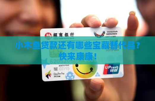 小木鱼贷款类似的口子