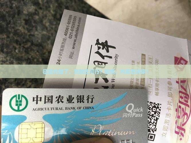 征信代偿能贷款的
