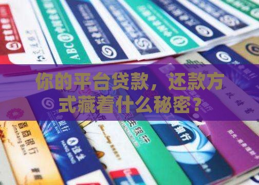 平台推出的贷款怎么还款
