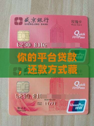 平台推出的贷款怎么还款