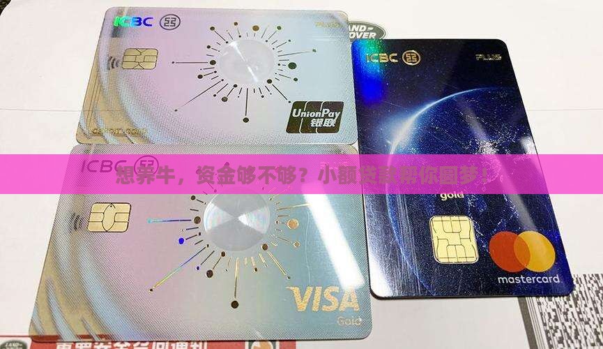 养牛小额贷款