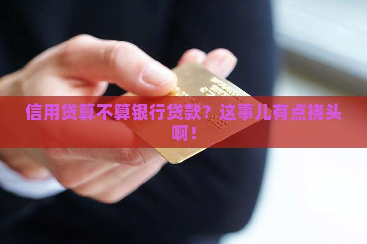 信用贷属于银行贷款吗