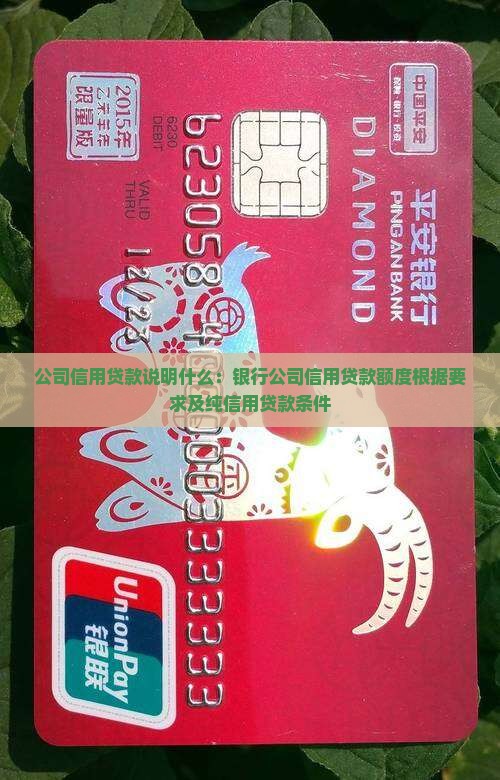 公司信用贷款说明什么
