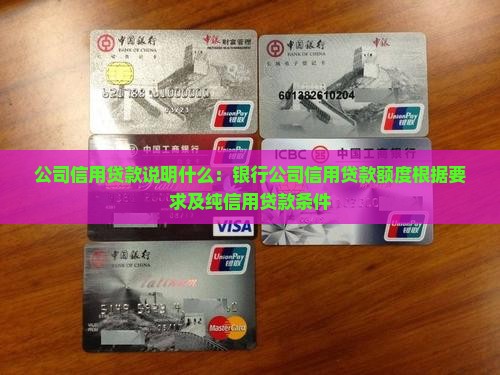 公司信用贷款说明什么