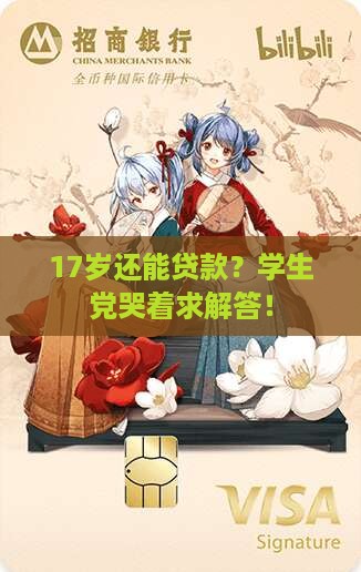 什么平台17岁可以贷款