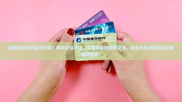 去哪找非标贷款平台呢