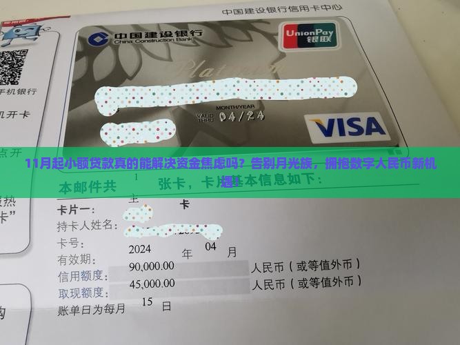 11月起小额贷款