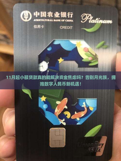 11月起小额贷款