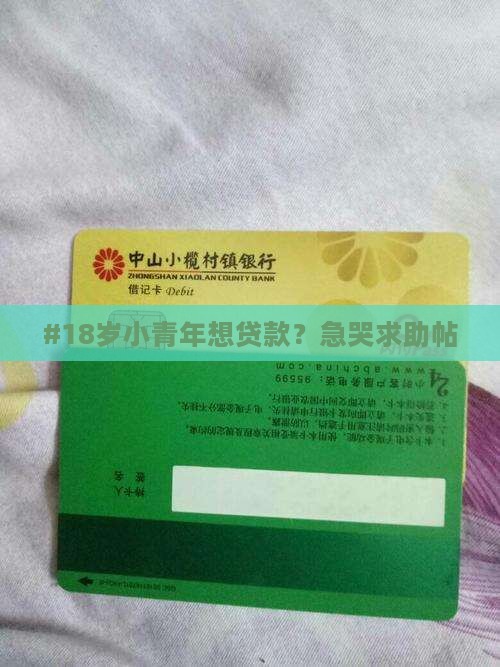 网络才满18怎么贷款吗