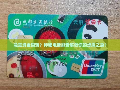可以网络贷款打电话