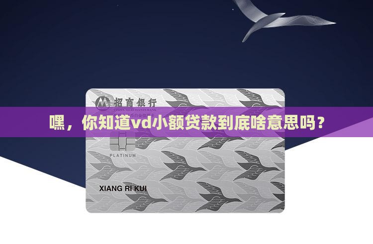 vd小额贷款缩写