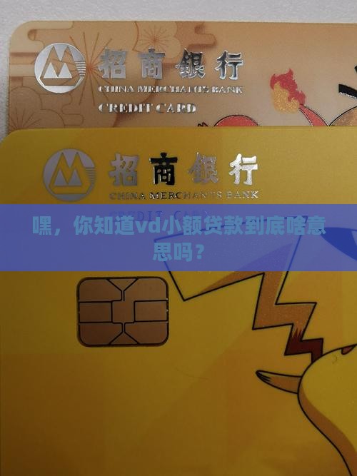 vd小额贷款缩写