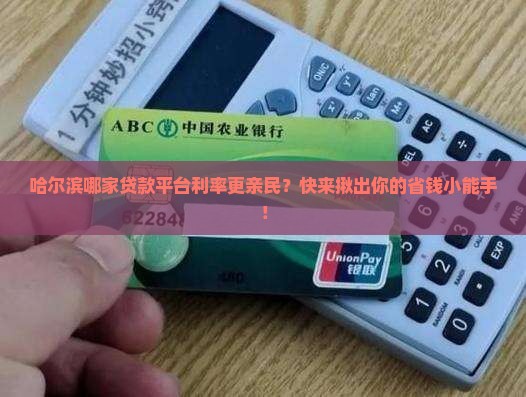 哈尔滨贷款平台哪个利率低 哈尔滨贷款平台哪个利率低