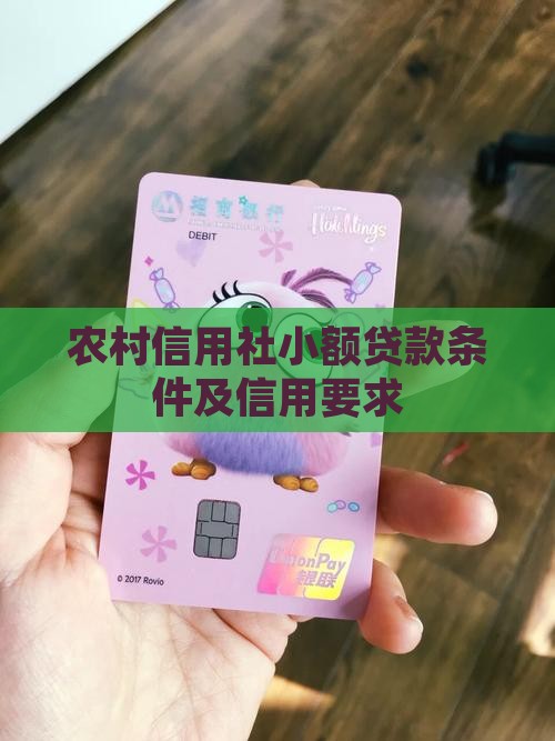 农村信用社小额贷款要求