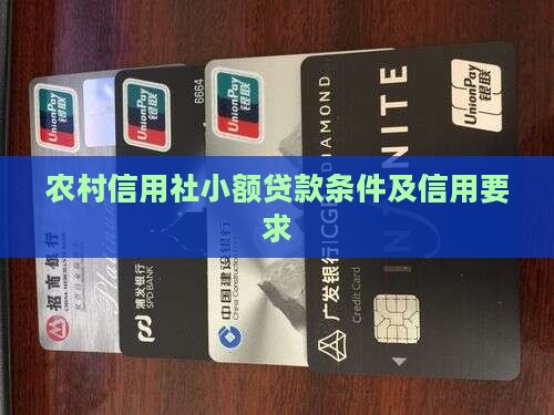 农村信用社小额贷款要求