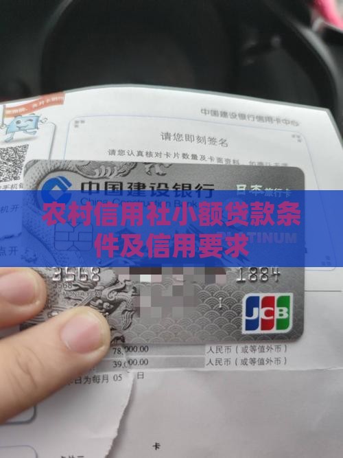 农村信用社小额贷款要求