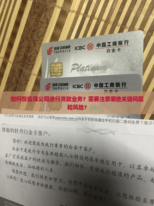 在信保公司贷款业务