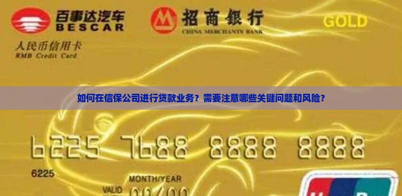 在信保公司贷款业务