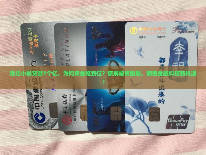 宿迁小额贷款1个亿