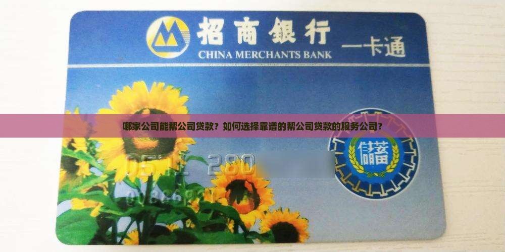 帮公司贷款的服务公司