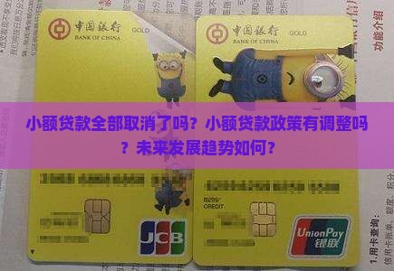 小额贷款全部取消了吗
