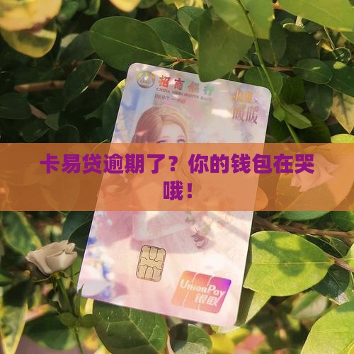 卡易贷贷款逾期
