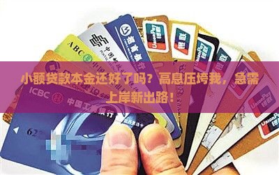 小额贷款本金还好了