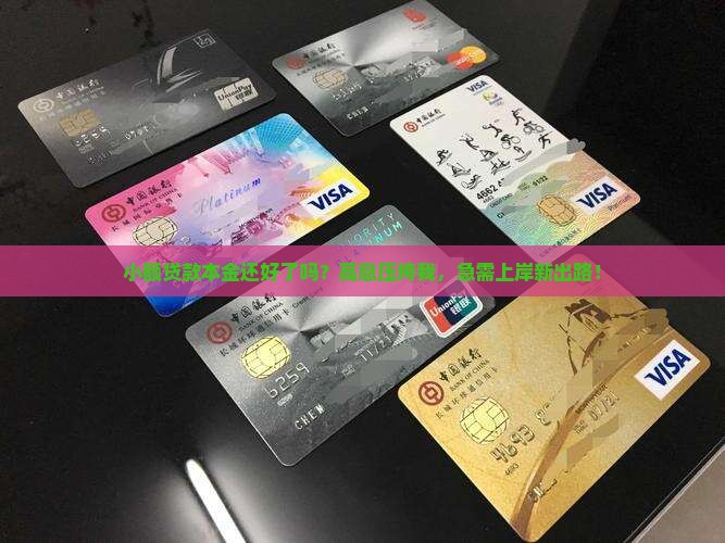 小额贷款本金还好了