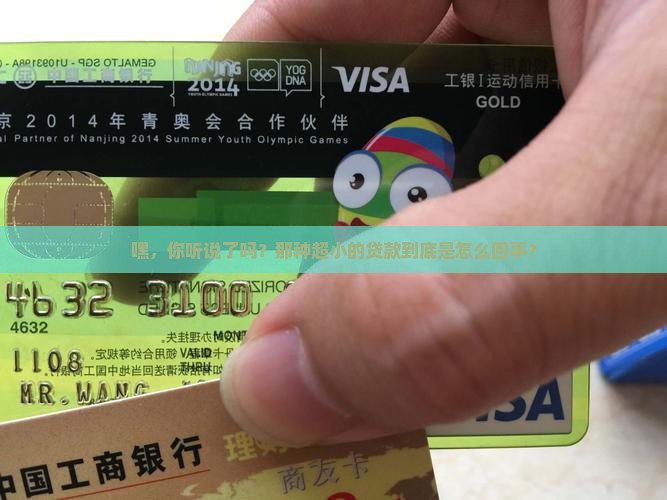 什么微小额贷款