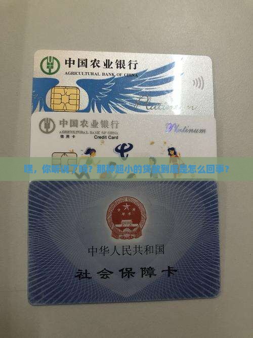 什么微小额贷款