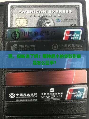 什么微小额贷款