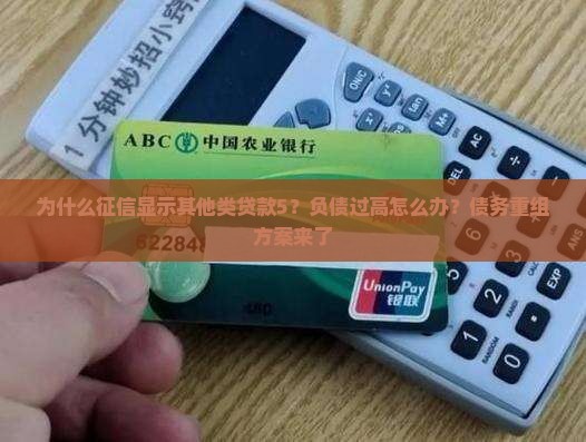 征信显示其他类贷款5