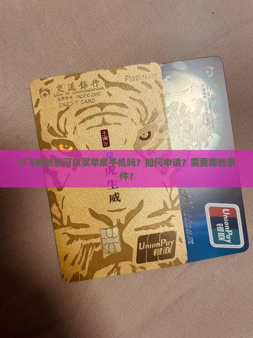 小飞猪贷款苹果手机