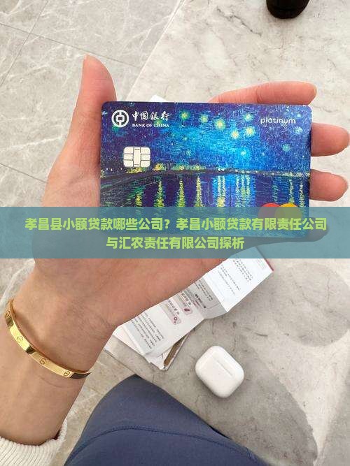 孝昌小额贷款有哪些公司