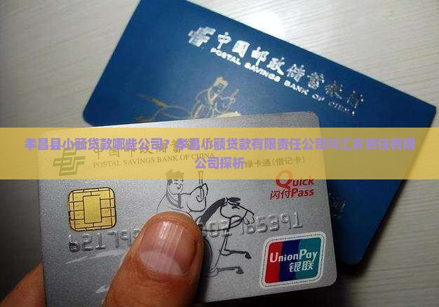 孝昌小额贷款有哪些公司