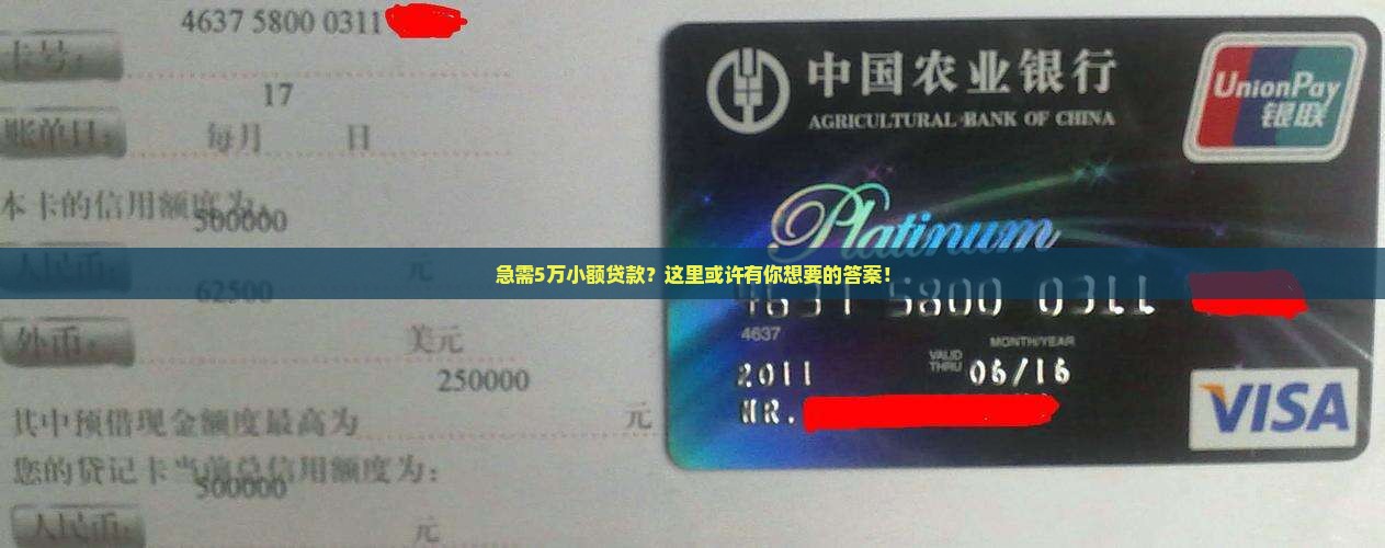 5万小额贷款哪里办